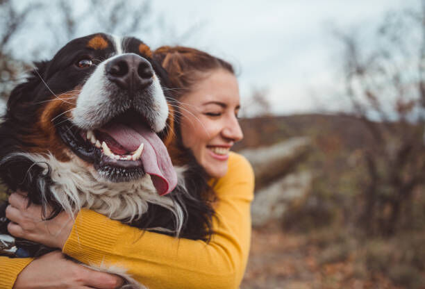 How to Create a Stylish Backyard That’s Also Pet-Friendly